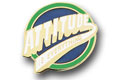 Attitude Is Everything Pin